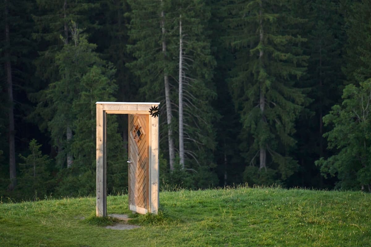 An open wooden door standing alone in a grassy forest clearing