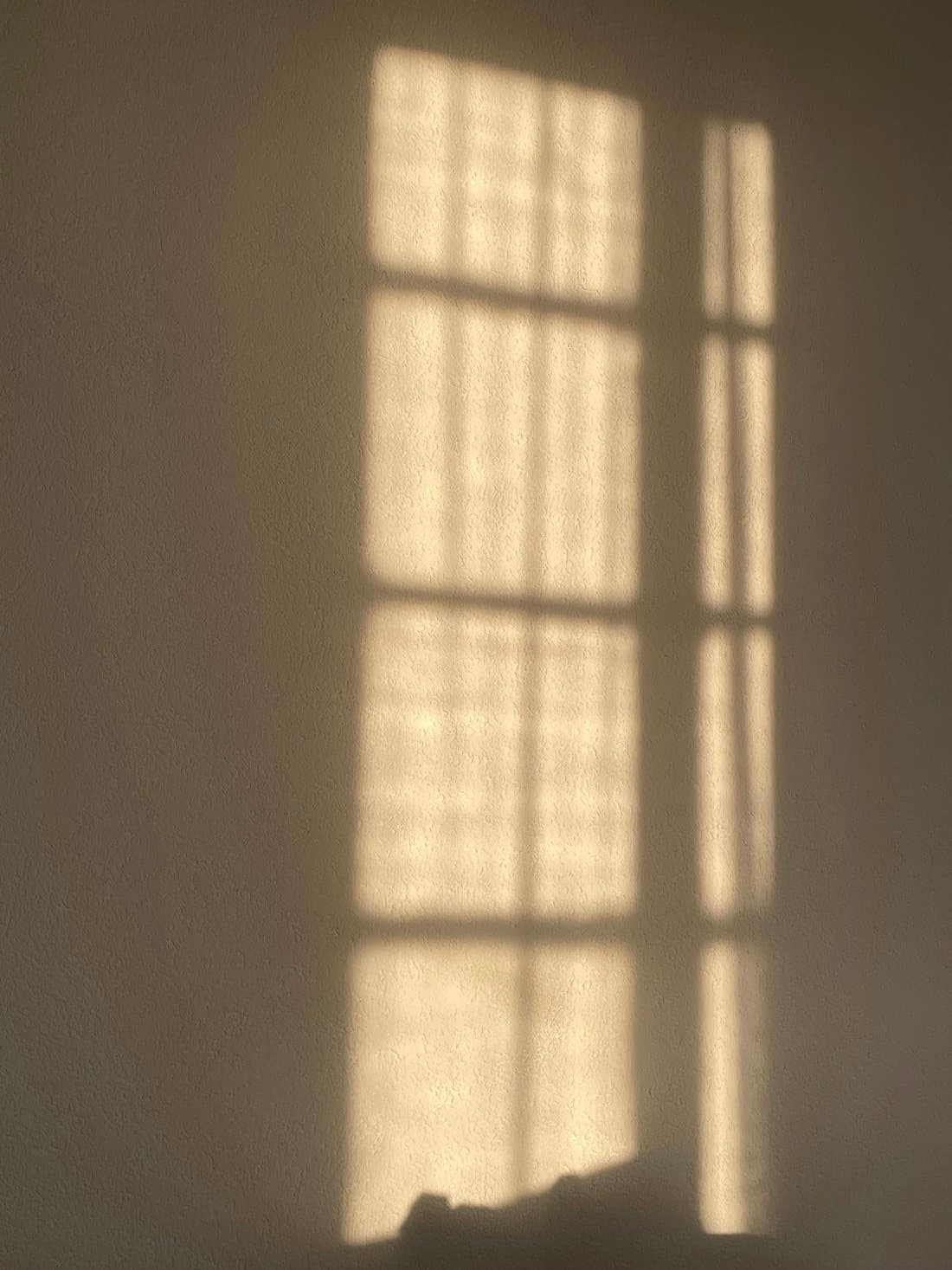 Warm sunlight casting a window's shadow across a quiet wall