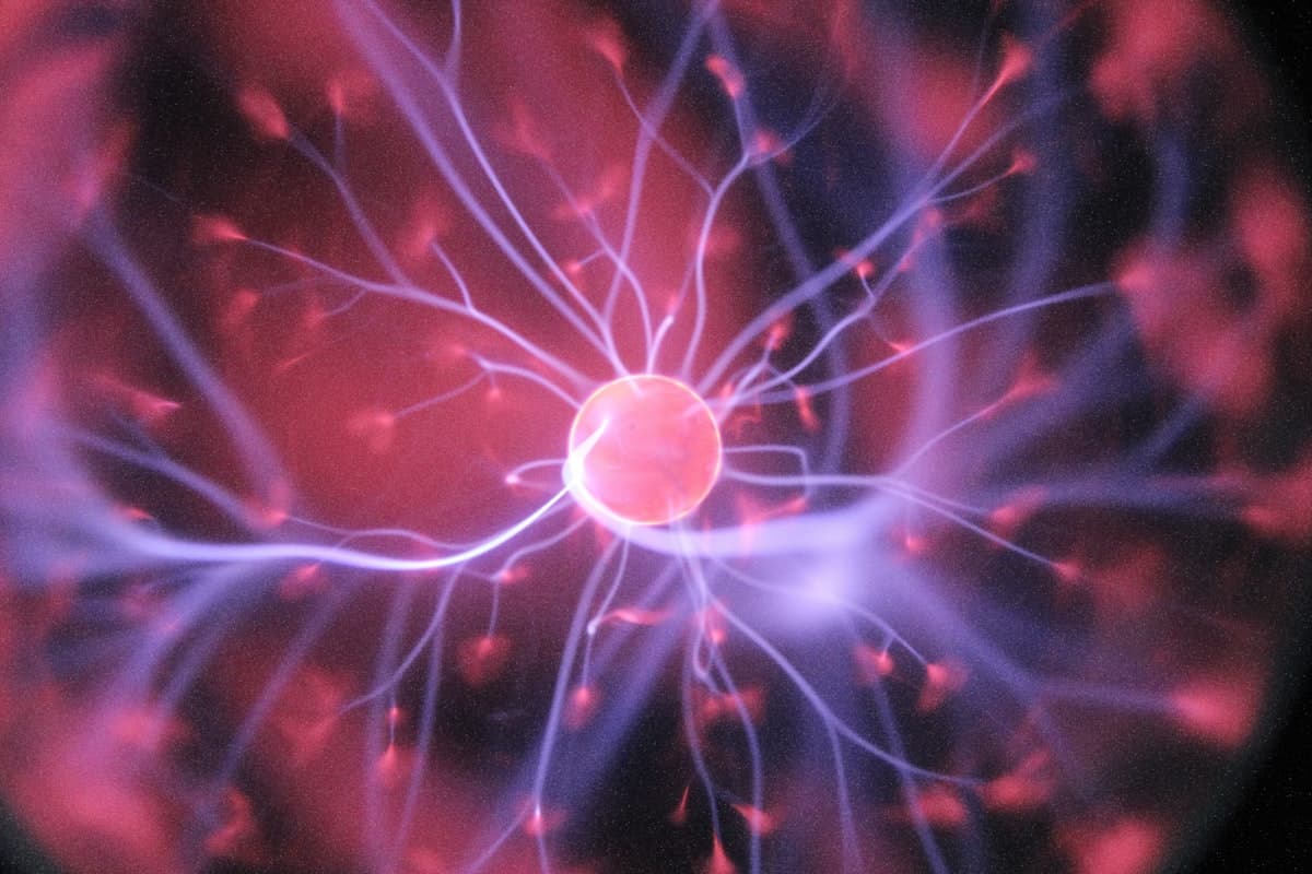 Abstract close-up of neural pathways rendered in calm blue tones