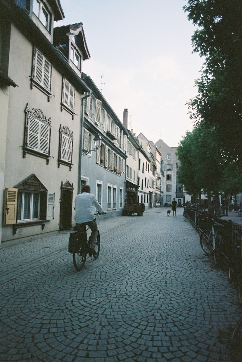 A person cycling down a quiet, tree-lined street