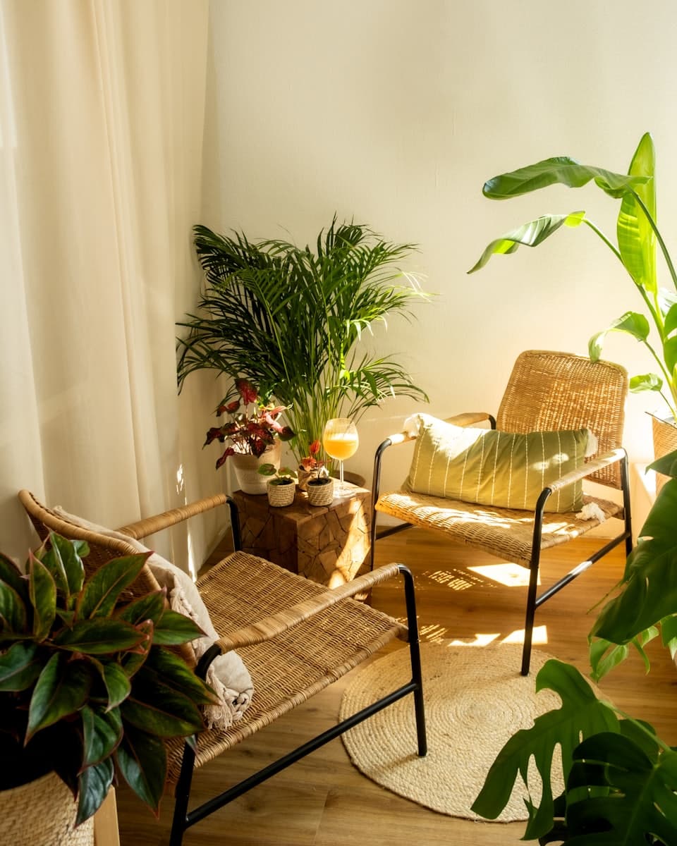 A calm, plant-filled sitting corner with two woven chairs in warm daylight